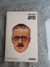 JOYCE - JOHN GROSS (CARTE IN LIMBA FRANCEZA) foto
