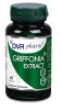 GRIFFONIA EXTRACT 60CPS, DVR Pharm