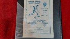 Program Muresul Deva - Aurul Brad