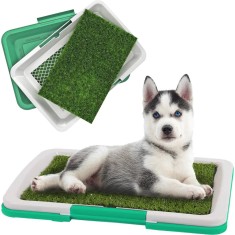 Litiera tip Tavita Toaleta pentru Caini, Pisici, Animale cu Gazon/Iarba Artificiala pentru Casa sau Terasa foto