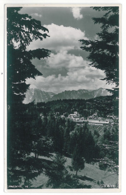 4057 - PREDEAL, Brasov, Mountain Bucegii - old postcard, real PHOTO - unused foto