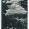 4057 - PREDEAL, Brasov, Mountain Bucegii - old postcard, real PHOTO - unused