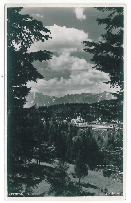 4057 - PREDEAL, Brasov, Mountain Bucegii - old postcard, real PHOTO - unused