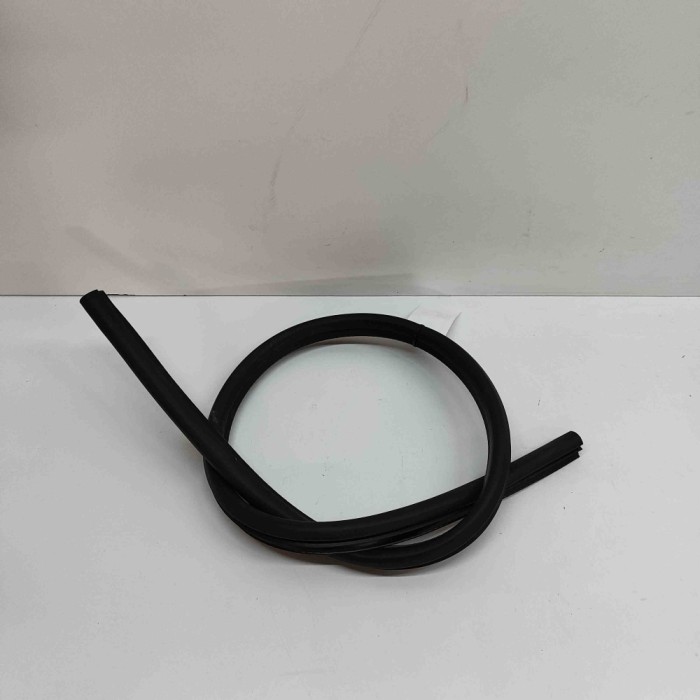 Garnitura ușă dreapta față JAGUAR F-TYPE Coupe X152 2021 OEM: EX53-20708-A