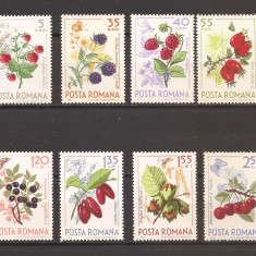 ROMANIA 1964, LP 598 - Fructe de padure, MNH