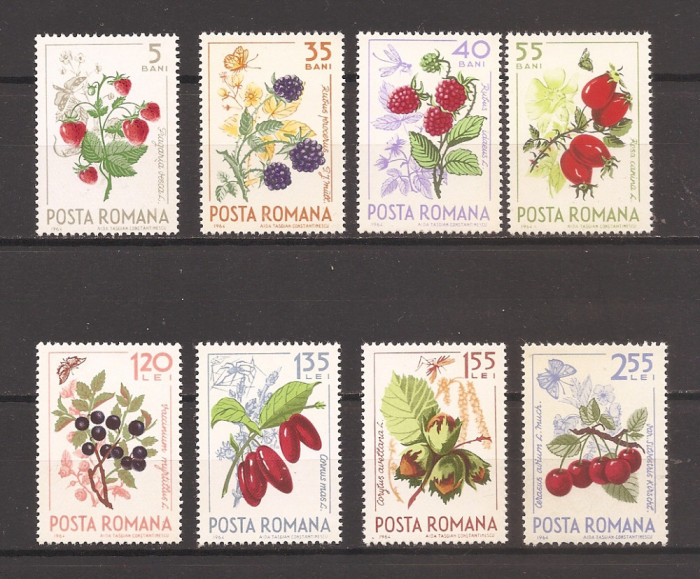 ROMANIA 1964, LP 598 - Fructe de padure, MNH