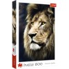 PUZZLE TREFL 1500 LEU PORTRET, TREFL 1500P