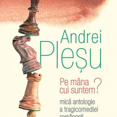 Pe mâna cui suntem? - Hardcover - Andrei Pleșu - Humanitas