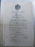 Brevet pt Crucea Comemorativa 1916 - 1918 WW1 cu bareta rara TURTUCAIA .