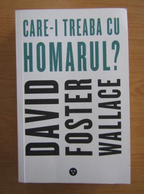 David Foster Wallace - Care-i treaba cu homarul? (colectie de eseuri despre SUA) foto