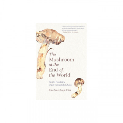 The Mushroom at the End of the World: On the Possibility of Life in Capitalist Ruins foto