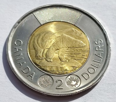 292. Moneda Canada 2 dollars 2022 (Polar Bear, Toonie) foto