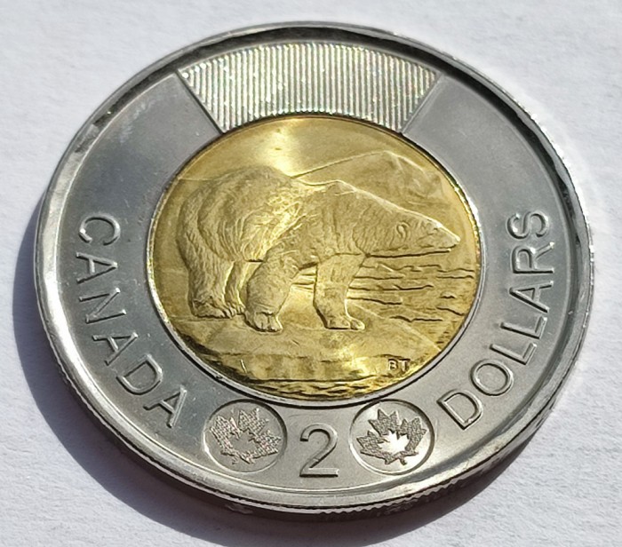292. Moneda Canada 2 dollars 2022 (Polar Bear, Toonie)