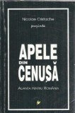 Nicolae Cristache - Apele din cenusa: alianta pentru Romania. Literatura romana clasica