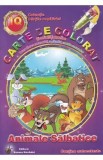 Animale salbatice. Carte de colorat si activitati practice