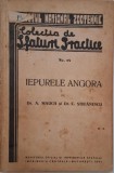 Iepurele de Angora - A. Mauch, C. Stefanescu - Carte
