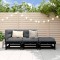 vidaXL Set mobilier de grădină, 3 piese, negru, lemn masiv pin 825412