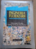 INGINERIA FLUIDIZARII - GH. IVANUS