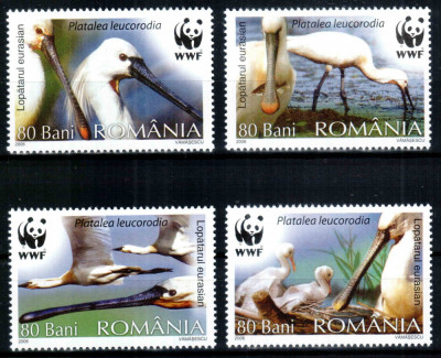 Romania 2006, LP 1744, WWF Lopatar, seria, MNH! LP 4,50 lei foto