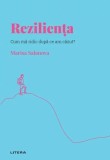 Reziliența (Vol. 6) - Hardcover - Marisa Salanova - Litera