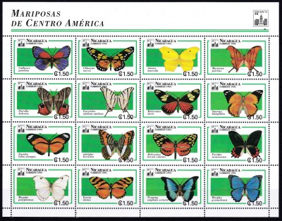 DB1 Fauna Fluturi Nicaragua MS MNH foto