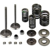 Kit Supape ATV Linhai 250 260 275 300 + Semeringuri, Arcuri - Admisie &amp; Evacuare - Linhai Classic/Dragonfly/Goon/Worker/Muddy, Buyang, Gsmoon