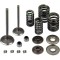Supape Atv LINHAI Classic 260 275 300