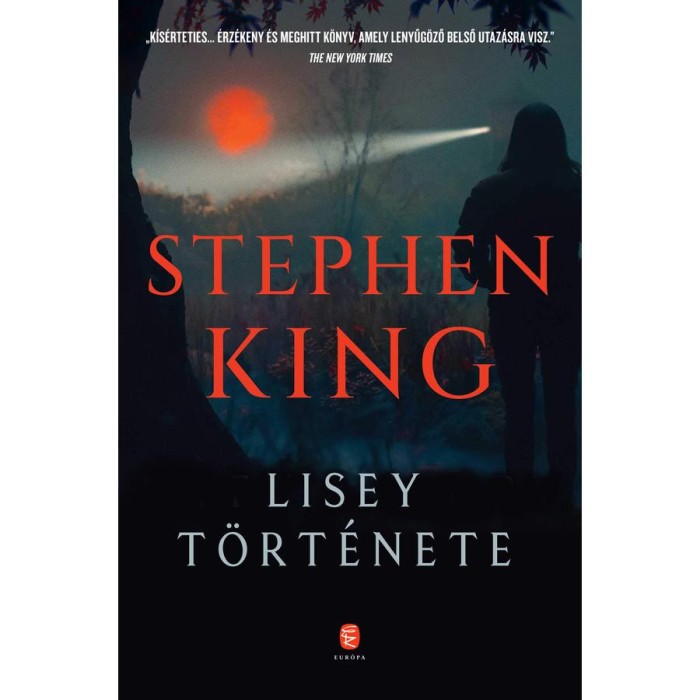 Lisey t&ouml;rt&eacute;nete - Stephen King