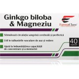 FarmaClass Industry Ginkgo biloba &amp; magneziu capsule pentru menținerea energiei și a capacității cognitive 40 caps.