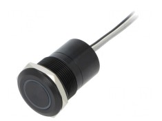 Comutator Capacitiv SPST-NO 12V IP68 foto