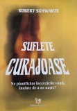 Suflete curajoase. Ne planificam incercarile vietii, inainte de a ne naste? - Robert Schwartz (putin uzata)