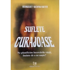 Suflete curajoase. Ne planificam incercarile vietii, inainte de a ne naste? - Robert Schwartz (putin uzata)