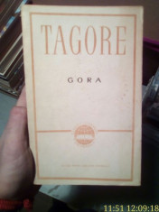 Gora &amp;amp;#8211; Tagore foto