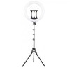 Lampa circulara LED,diametru 53 cm,trepied 200 cm inclus, Dactylion