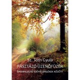 P&aacute;szt&aacute;z&oacute; &uuml;zenőf&uuml;z&eacute;r - Barangol&aacute;s sz&ouml;vegeml&eacute;kek k&ouml;z&ouml;tt - Sz. T&oacute;th Gyula