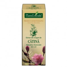 Extract din muguri de CATINA 50ml Plant Extrakt foto