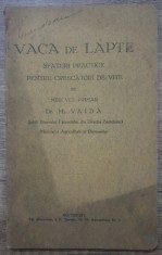 Vaca de lapte, sfaturi practice pentru crescatorii de vite - M. Vaida