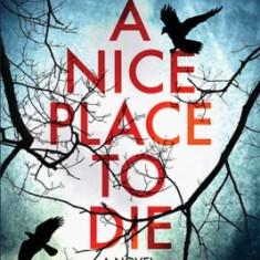 A Nice Place to Die: A DS Ryan McBride Novel