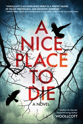 A Nice Place to Die: A DS Ryan McBride Novel foto