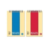 Blocnotes A6 Pigna Styl, 60 file, velin, cu spira