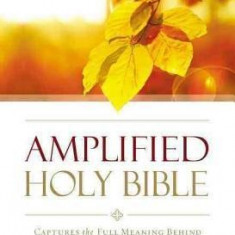 Amplified Outreach Bible, Paperback: Capture the Full Meaning Behind the Original Greek and Hebrew