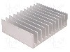 Radiator extrudat, aluminiu, 100mm x 124mm, STONECOLD -