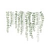 Autocolant Decorativ pentru Multiple Suprafete, Frunze de Plante Cataratoare si Liane, 55 x 45 cm Verde 45 cm 55 cm 45 cm Verde 1 Folie