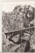 Foto  - 1