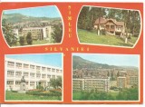 @carte postala- SIMLEUL SILVANIEI-colaj