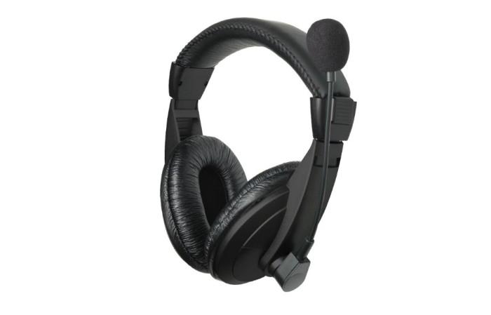 Casti stereo cu microfon Well