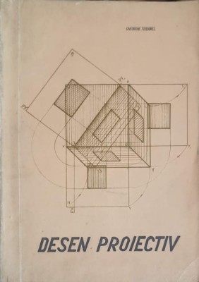 DESEN PROIECTIV-GHEORGHE TEODOREL-249648 foto