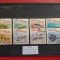 1964 - ACVARIUL DE LA CONSTANTA ( 1 )