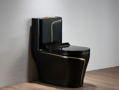 Designer monobloc toaleta pentru WC ?i baie - WC DESIGN foto