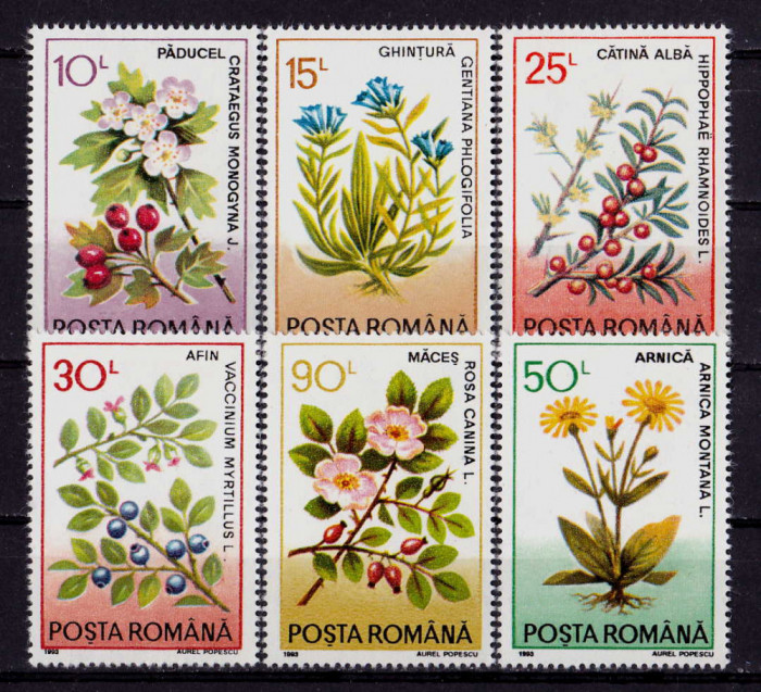 RO 1993 LP 1310 &quot;Plante medicinale&quot; - serie ,MNH